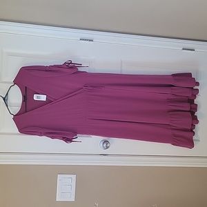 Nwt torrid size 2 dress